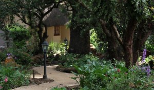 Granny Mouse Gardens 6